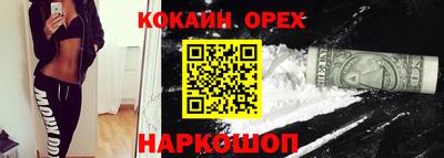 mdpv Гатчина