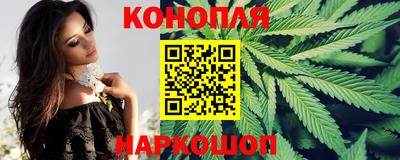 хмурый Гай
